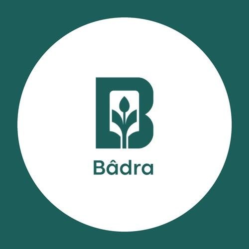 Bâdra